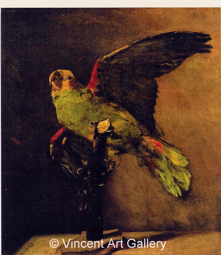 JH1193, The Green Parrot